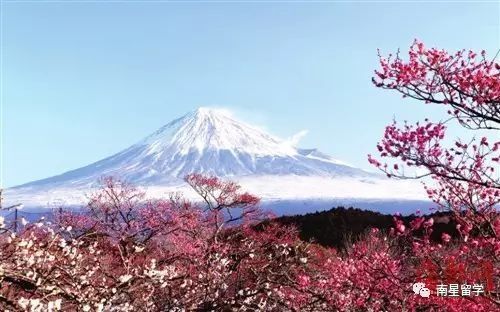 求学路上 | 日本国公立大学研究生申请解析及T