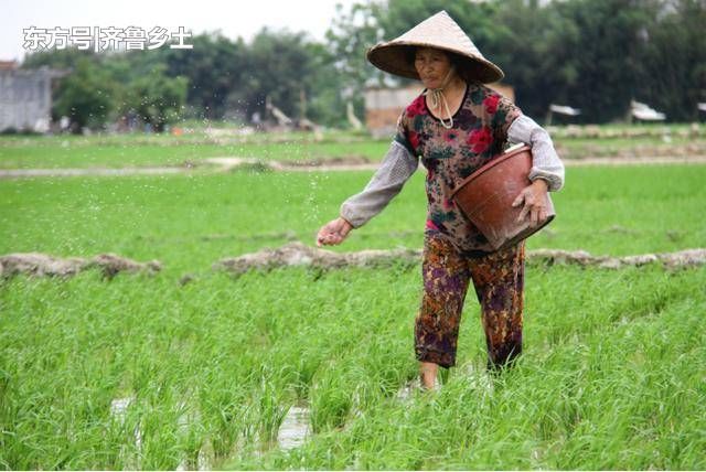 农民年后“必花”的三项费用，现在就得着手准备！谁都躲不掉