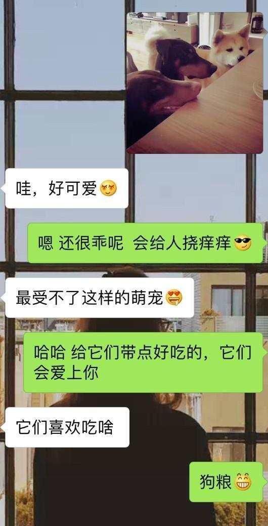 坏男人教你怎么把女孩追回家，单身的朋友学着点