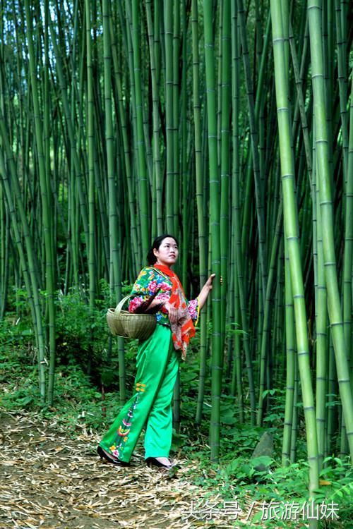 栾川王府竹海度假旅游区：避暑度假 休闲观光 一体的旅游景区