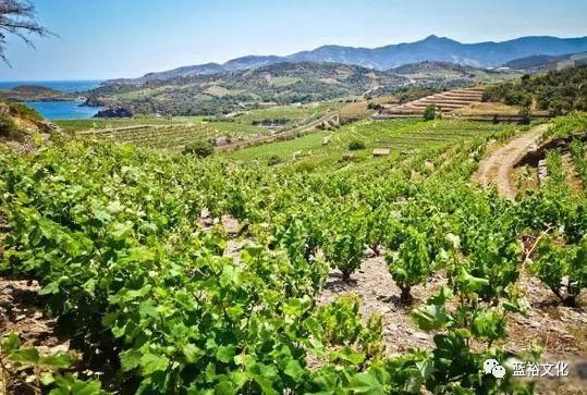 6个葡萄酒旅游新去处，你都get到了吗?