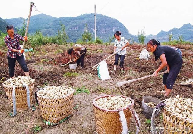 农村土地被征收，这几类农民将少拿很多补贴！