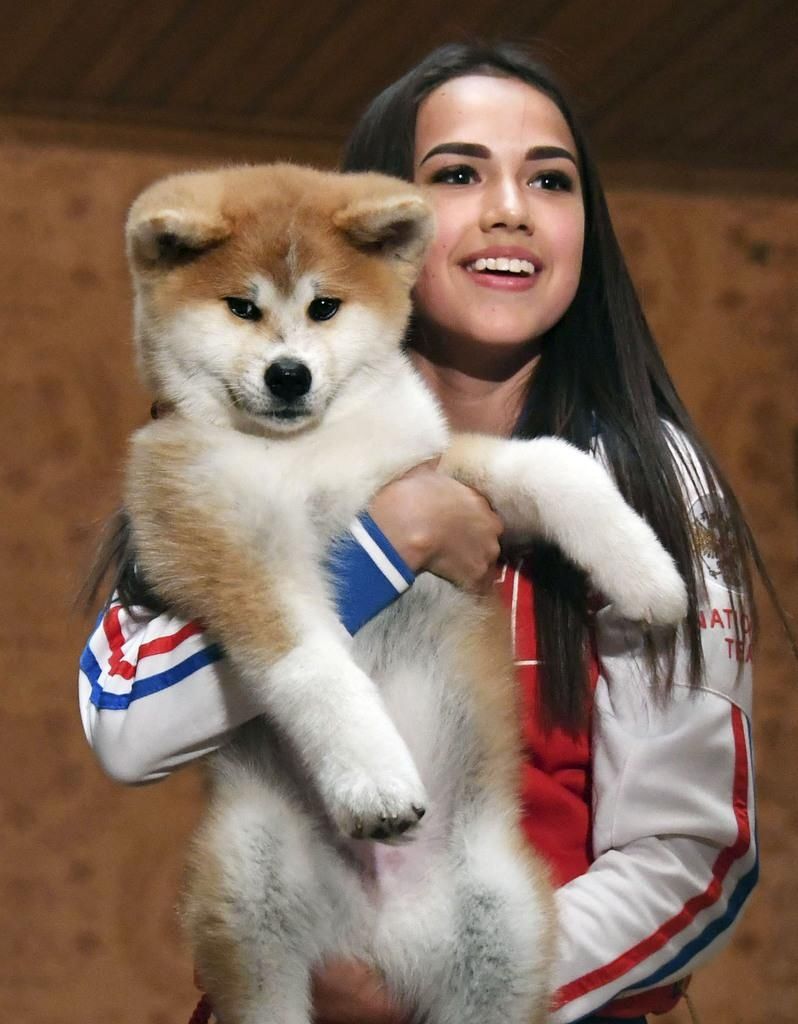 又送狗！日本向俄女子花滑冠军扎吉托娃赠送秋田犬