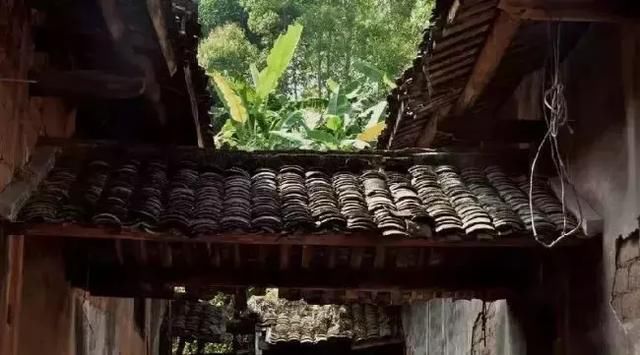 定了，这5类人不能建房！马上就实施……