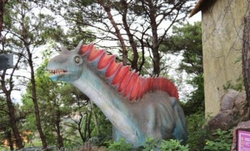 钢琴教师资格证