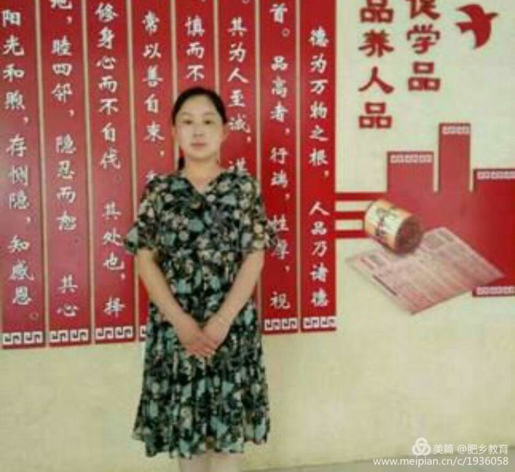 肥乡区2017年优秀教师先进事迹展播(十)