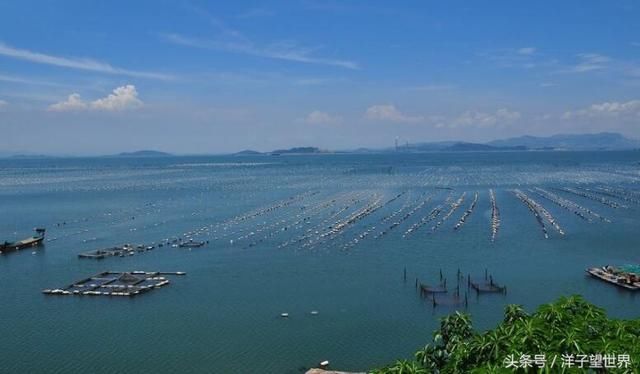 中国的一个经济特区,却是三线城市,经济也没有