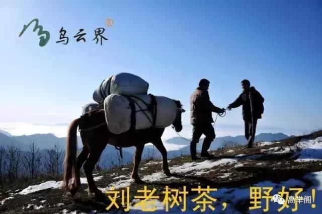 随笔李祖新: 我这么说旅游