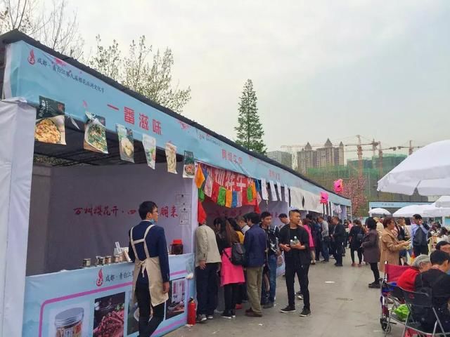 青白江凤凰湖的樱花终于开了，门票免费，再也不用去日本看樱花啦