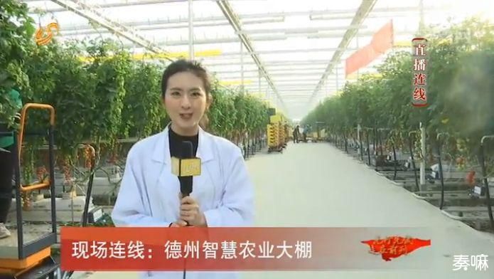 全省动员大会直播连线德州智慧农业大棚!凭啥选中它?