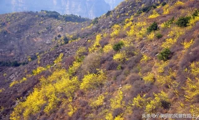清明节假期◆世外桃源 林州马鞍垴、太行平湖、蚁尖寨休闲之旅