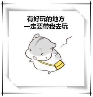 超萌的做饭耳朵:闭上我的小表情,我都听那你去撒娇吧表情包图片