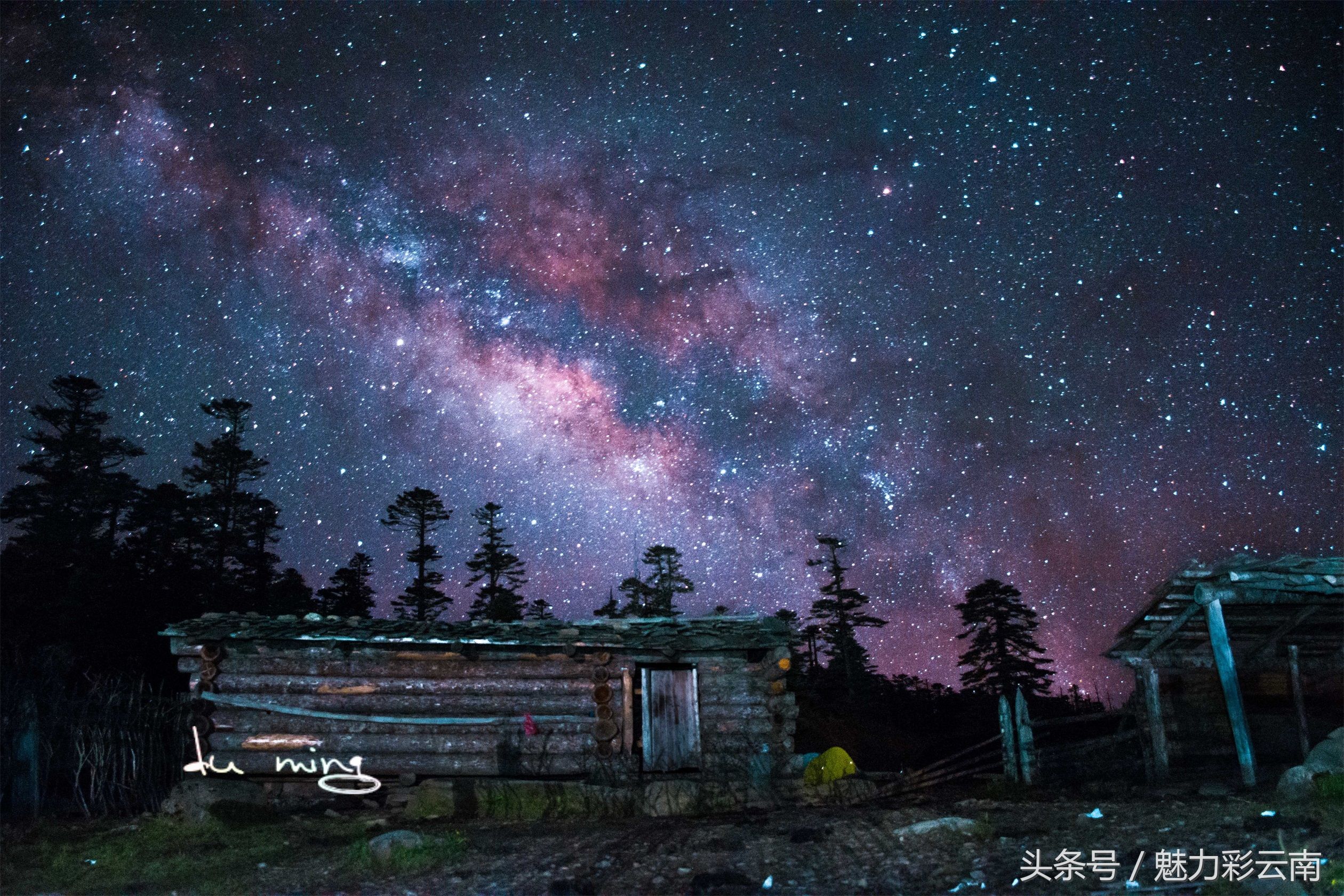 魔幻森林，香格里拉千湖山的星空，这里的夜晚似乎可以摘星辰