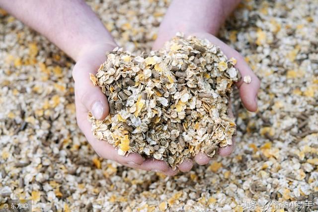 如何储存饲料避免霉变