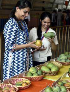 印度人卖芒果都跟别人不一样,芒果:我怎么得罪