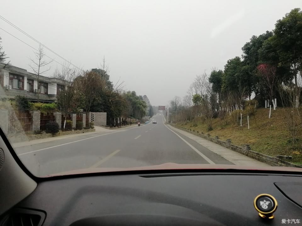 参观牛碾坪万亩观光茶