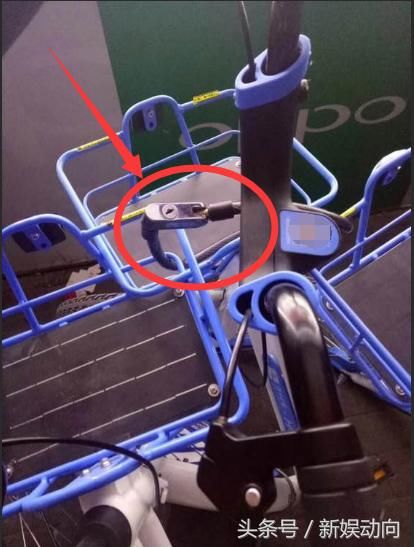 哈罗单车宣布免押金后,在东莞体验共享单车有