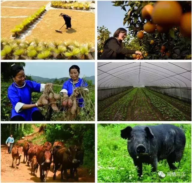 重磅“全域旅游，美好生活”2018柳州旅游嘉年华即将在三江举办