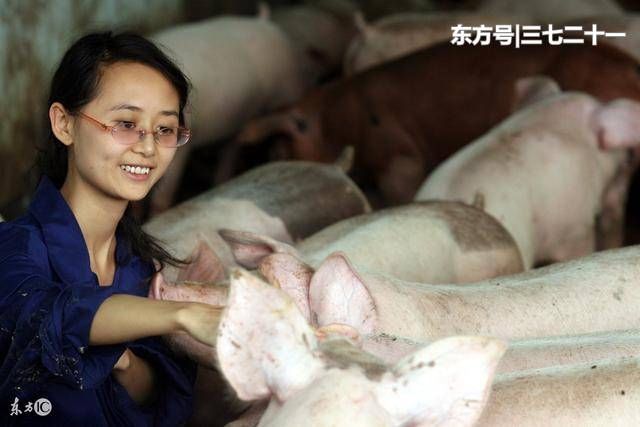 2019年退休,44年工龄,退休金能领多少?