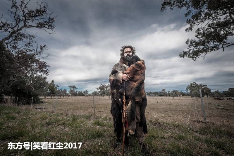 来自澳大利亚的有趣照片 来自澳洲的那些趣事，袋鼠乱穿马路，蛇