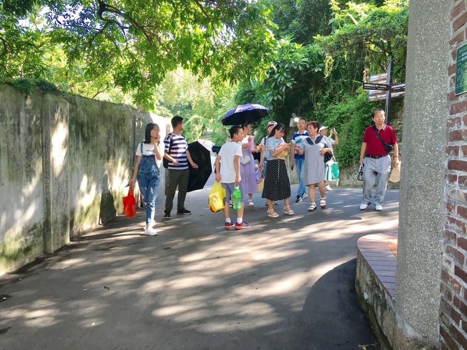 中国最红的旅游岛,游客太多导致被限流,不收门票满街都是游客