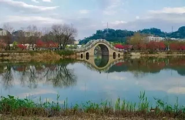 浙江农林大学园林_福建农林大学风景园林_陈雯福建农林大学