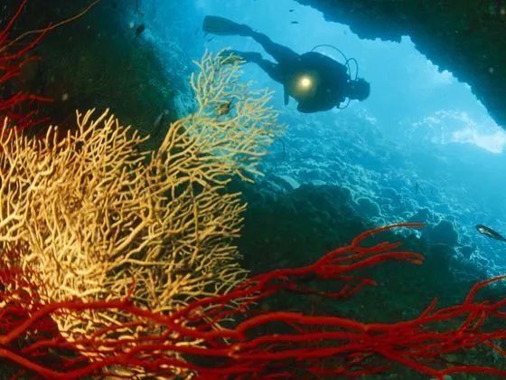 北京泰使馆:泰国签证正常发放,欢迎前往泰国旅