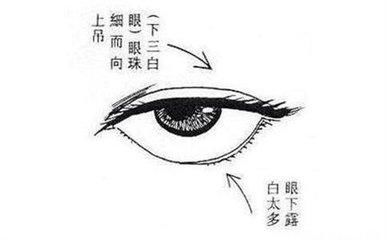 什么叫三白眼四白眼 t018f5f603307a77270.jpg