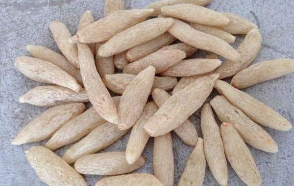 秋已凉,燥难当,是时候补补阴了:阴虚药食全明星