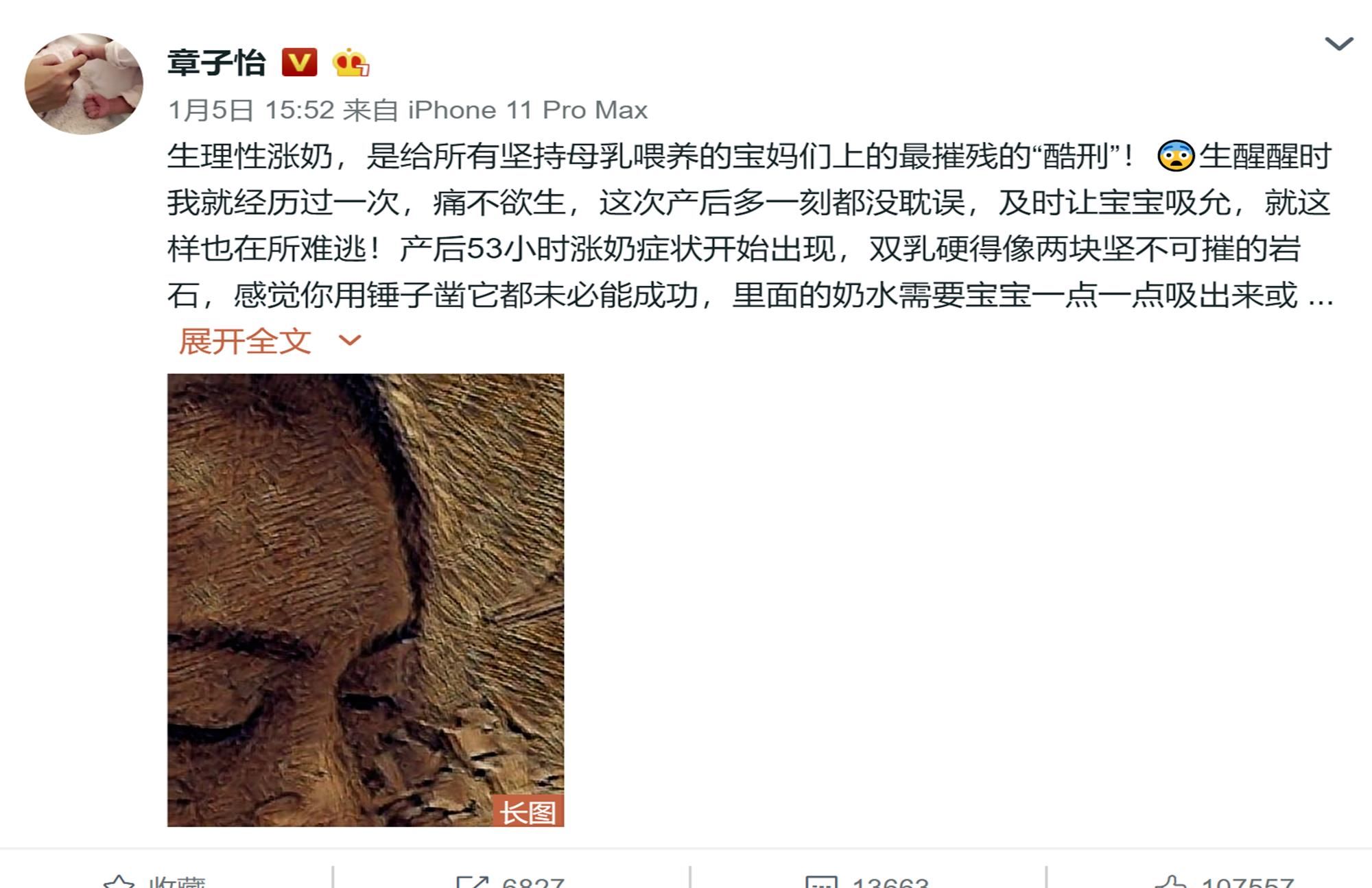 章子怡产后复工记：事业未受影响的背后，藏着太多当妈辛酸