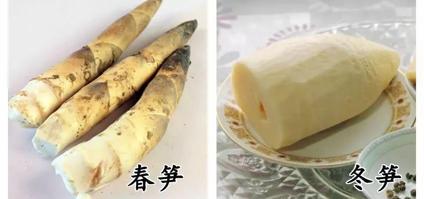 车厘子VS樱桃，奇异果 vs 猕猴桃，这些食物到底哪不同?