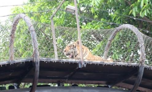 钢琴教师资格证