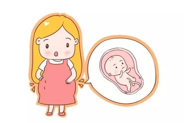 胎儿胎动特别喜欢在这2个时间段,看看你家宝贝