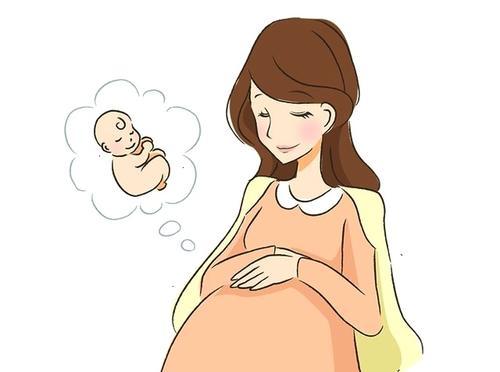 什么是NT检查?孕妇做NT前需要注意什么?孕妈