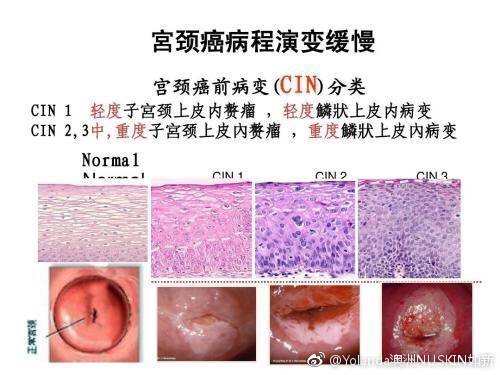 t018ff710c2c97158ad.jpg