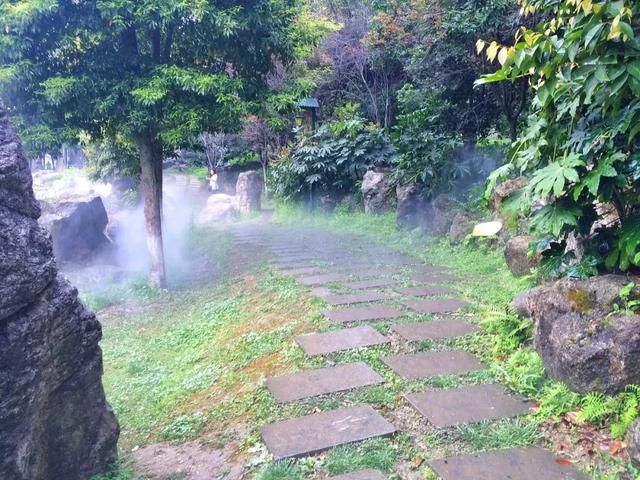 青白江凤凰湖的樱花终于开了，门票免费，再也不用去日本看樱花啦