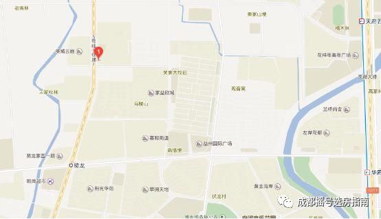 成都摇号选房奥园公园府邸天府新区地铁盘再推小涨几百