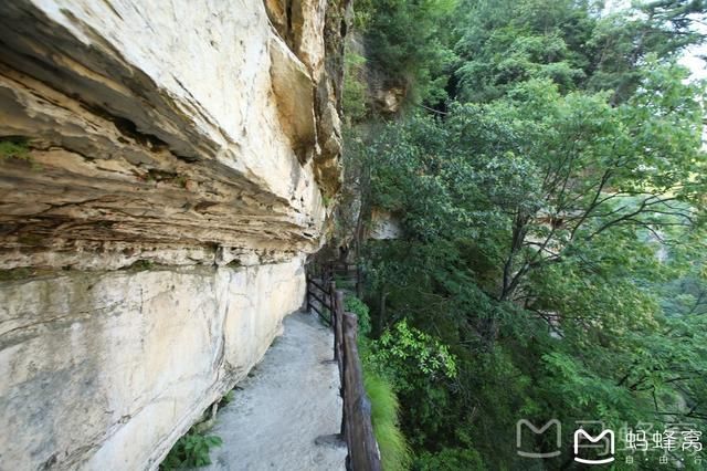 张家界森林公园2日行程，沉迷于湘西的醉人山色