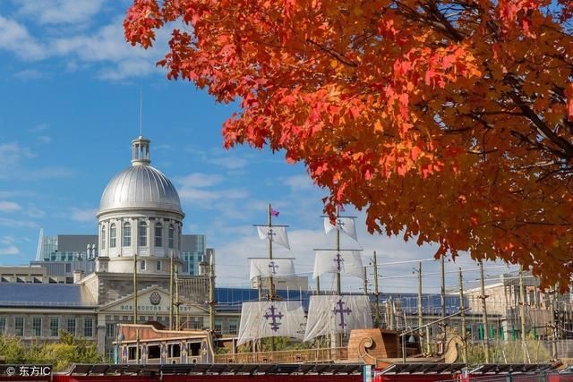 主要国家大力保障人民生育、教育、就业、医疗