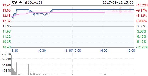 陕西黑猫涨停 领涨煤炭开采板块