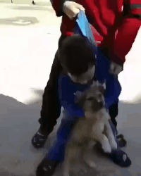 搞笑GIF:这步伐加上这姿势,肯定不是我尿的 巴黎人入口