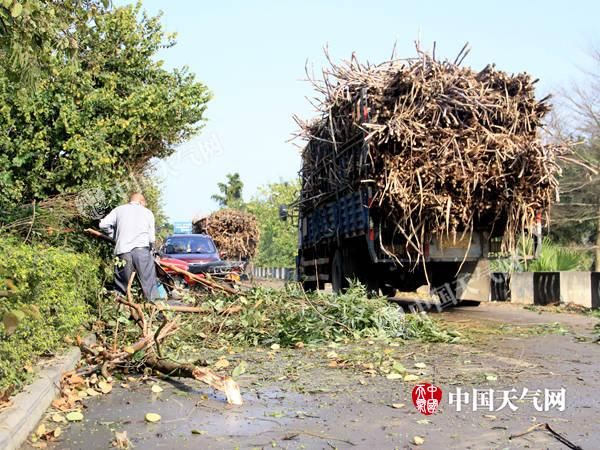 广西多地出现强对流天气 给公众生活带来不利