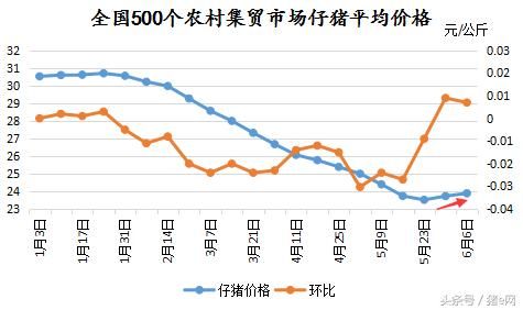 猪价上涨速度加快 能否再上新高？