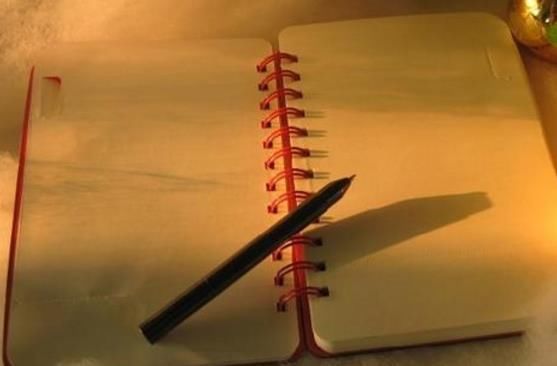 老公去世,我与他的好兄弟结婚,收拾衣柜发现日记,我连夜逃离