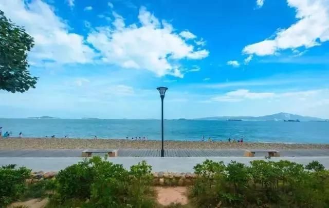 4天3晚自由行?玩转厦门所有景区最强攻略!