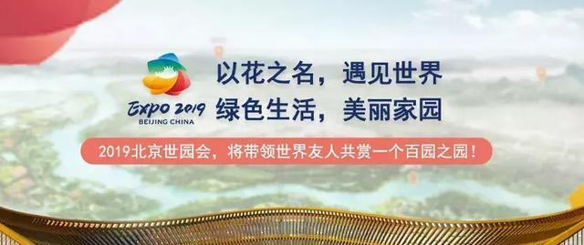2019北京世界园艺博览会即将开幕,错过后悔2