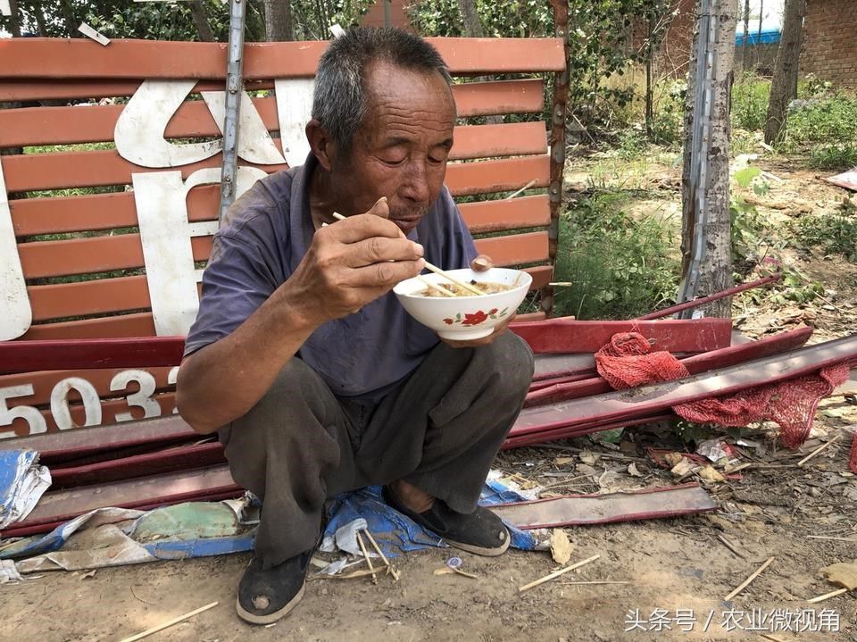 40度高温，大叔雇人出大蒜，看到他们吃的午饭，禁不住流泪了!