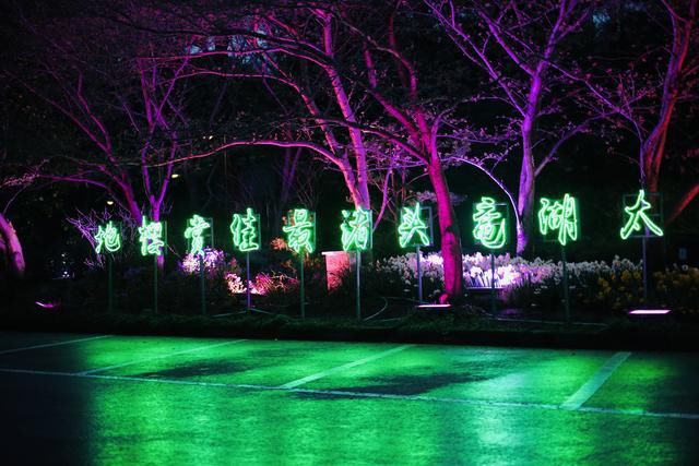 太湖鼋头渚夜赏樱花游园会:一场视觉与听觉的“饕餮盛宴”