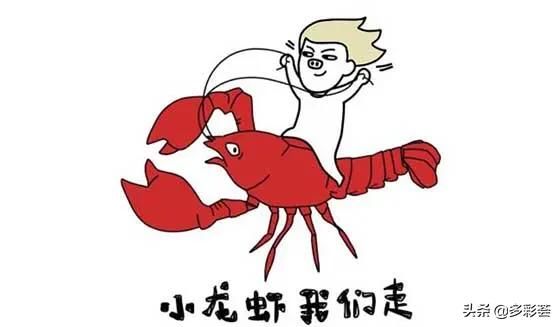 双色球19047期预测:三区错杀一码,遗憾只有5红