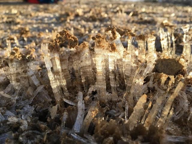 白色武功之龙山村-发云界-金顶-索道